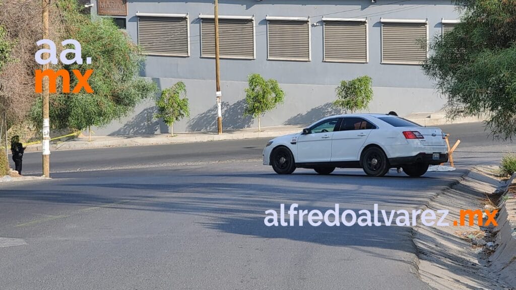 DEJAN CATRE CON CADáVER DESCUARTIZADO CERCA DE PARQUE