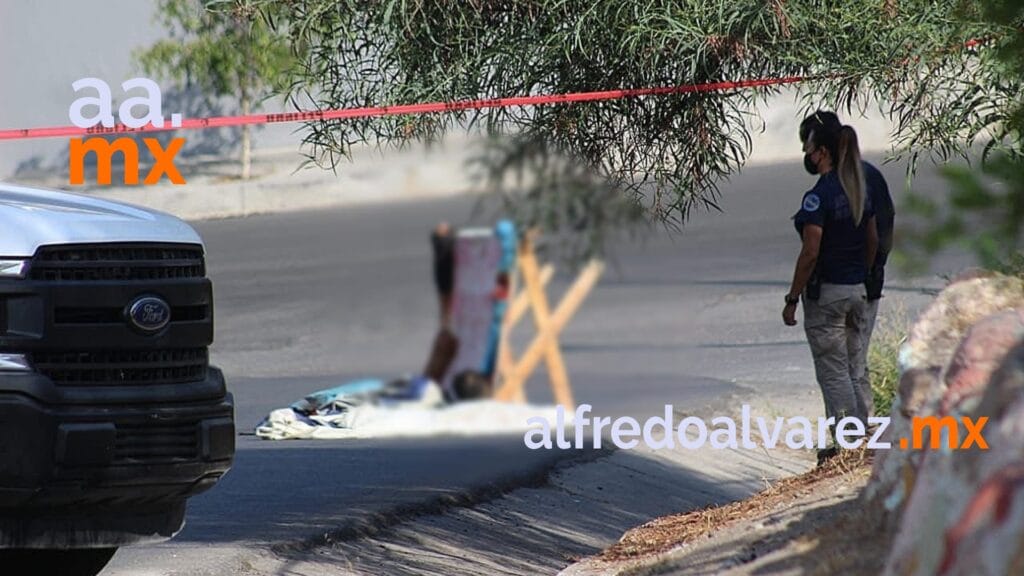 DEJAN CATRE CON CADáVER DESCUARTIZADO CERCA DE PARQUE