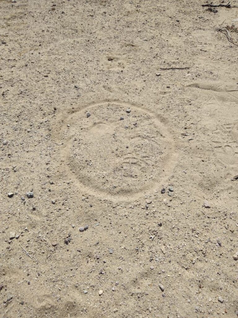 JOVEN ESPAñOLA DESAPARECE EN DESIERTO DE MEXICALI