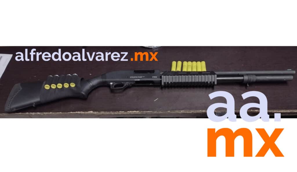 DETENIDOS POR PORTACIóN DE ARMAS Y CARTUCHOS