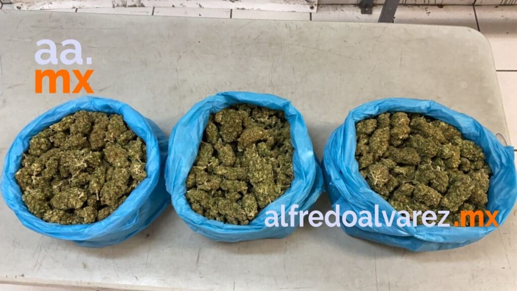 SUJETOS CAEN CON MáS DE 13 MIL DOSIS DE MARIHUANA