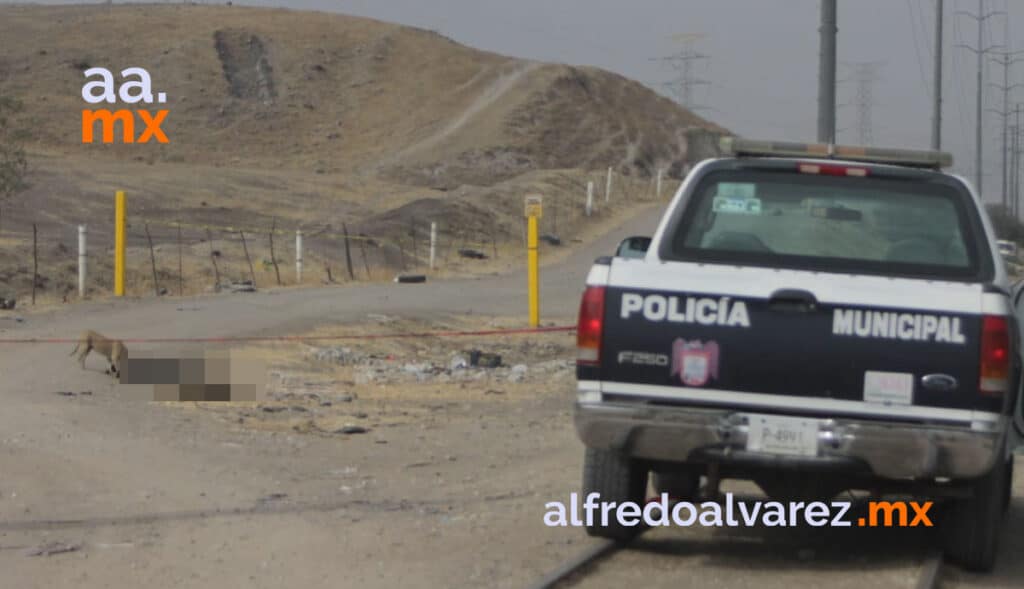 MATAN A 6, ENTRE LAS VíCTIMAS 2 MUJERES