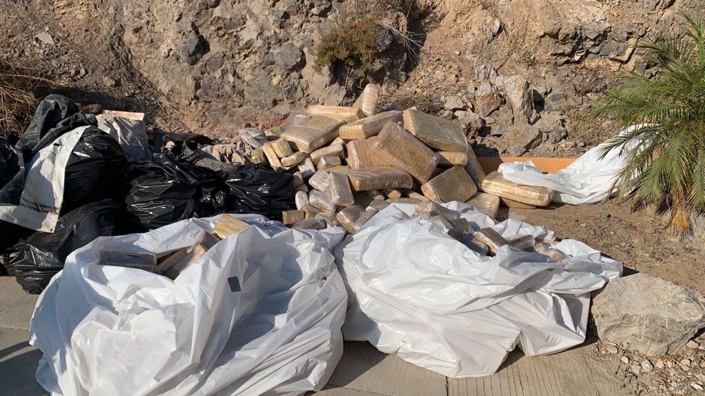EJéRCITO MEXICANO LOCALIZA Y DESTRUYE PLANTíOS DE MARIHUANA