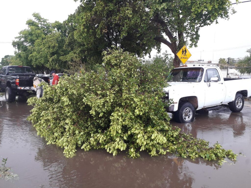 FUERTE LLUVIA CON GRANIZO 'LE CAE' A CAJEME
