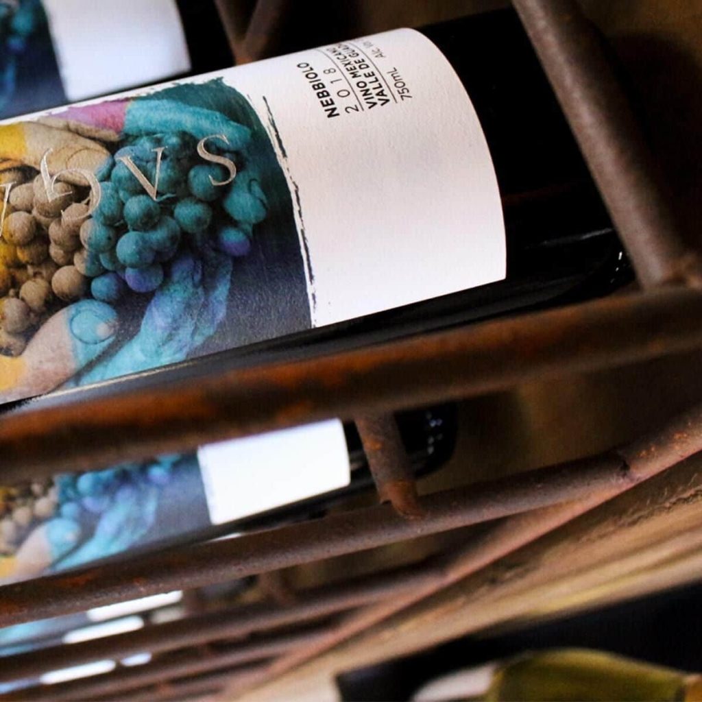 VINOS DE BAJA CALIFORNIA COSECHAN MEDALLAS