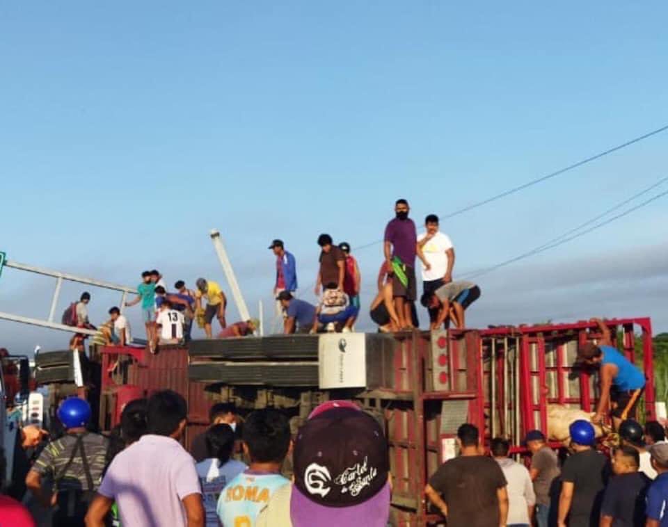 VUELCA TRáILER CON CERDOS Y POBLADORES HACEN RAPIñA