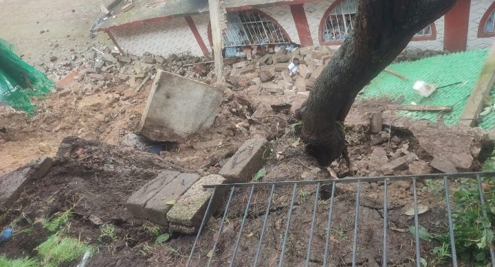 CERRO SE DESGAJA Y CAE SOBRE ALBERGUE DE PERRITOS