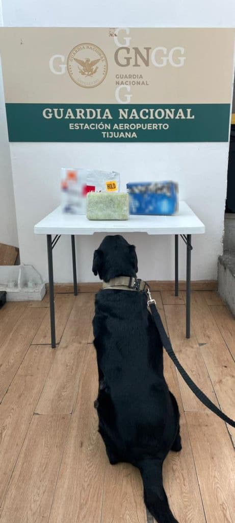 INTERCEPTAN PAQUETE DE DROGA QUE VENíA A TIJUANA