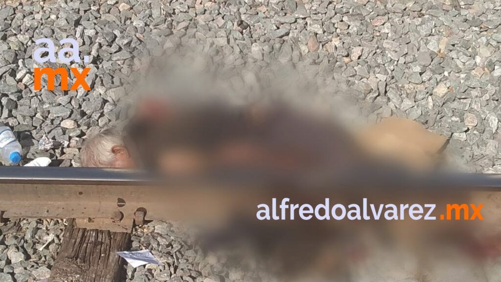 ADULTO MAYOR MUERE ARROLLADO POR EL TREN