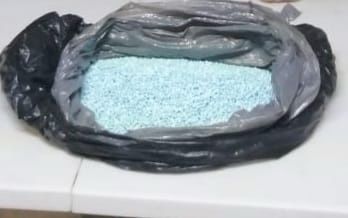 DAN GOLPE A ORGANIZACIONES CRIMINALES TRAS CATEOS Y DECOMISO DE DROGA