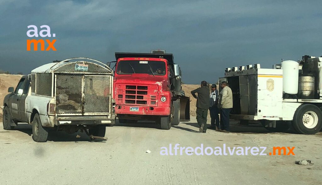 VIDEO: PERRERA MUNICIPAL TIRA CADáVERES EN BASURERO