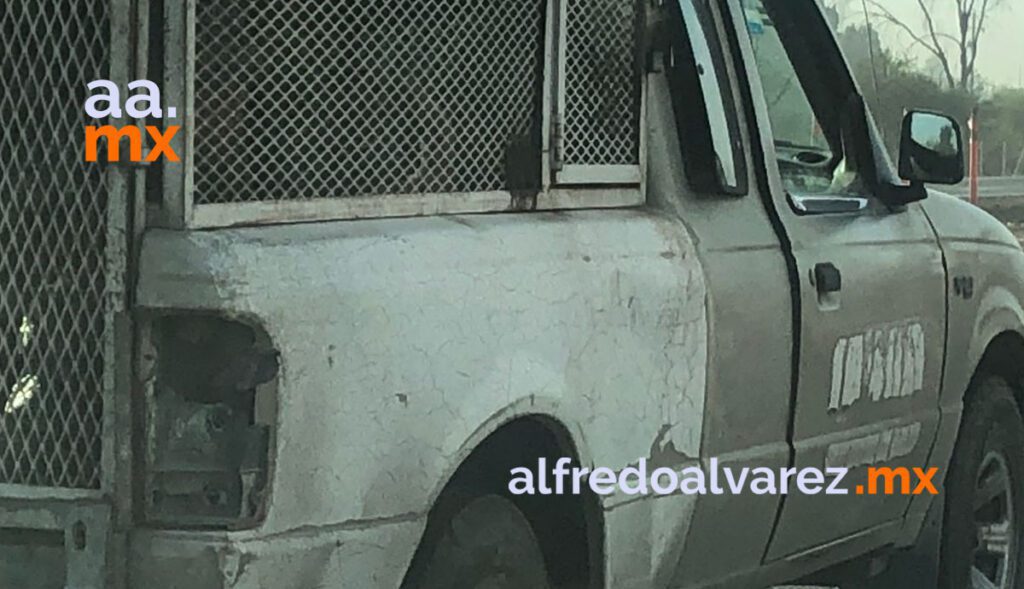 VIDEO: PERRERA MUNICIPAL TIRA CADáVERES EN BASURERO