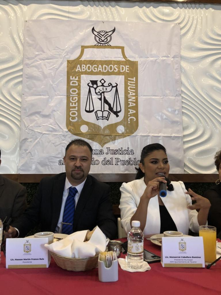 COLEGIO DE ABOGADOS A FAVOR DE SECRETARíA DE SEGURIDAD PúBLICA
