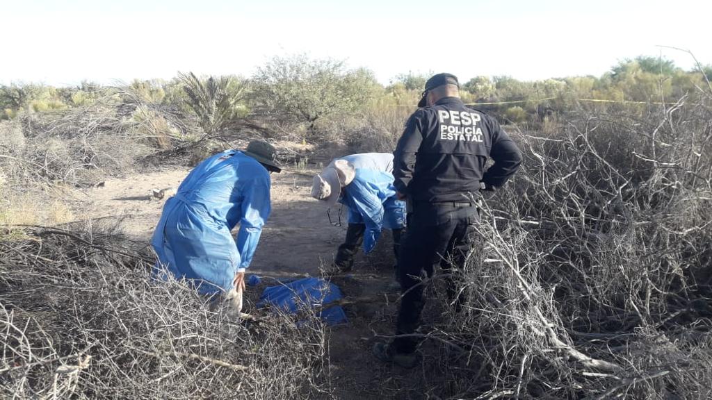 EN HERMOSILLO HALLAN 20 CUERPOS EN 14 FOSAS CLANDESTINAS