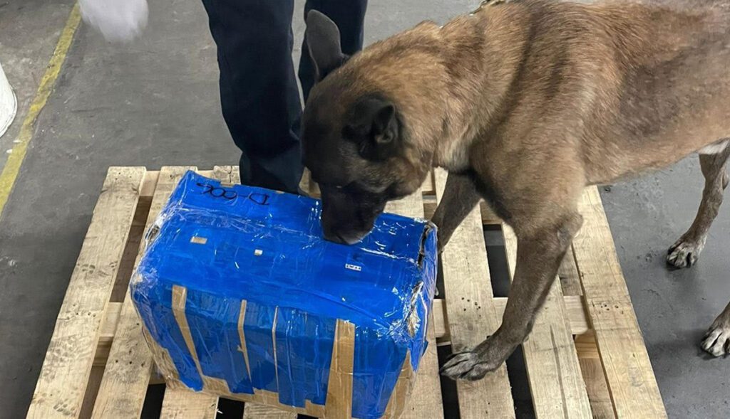 DECOMISAN SUSTANCIA PARA ELABORACIóN DE NARCóTICOS EN AEROPUERTO DE TIJUANA