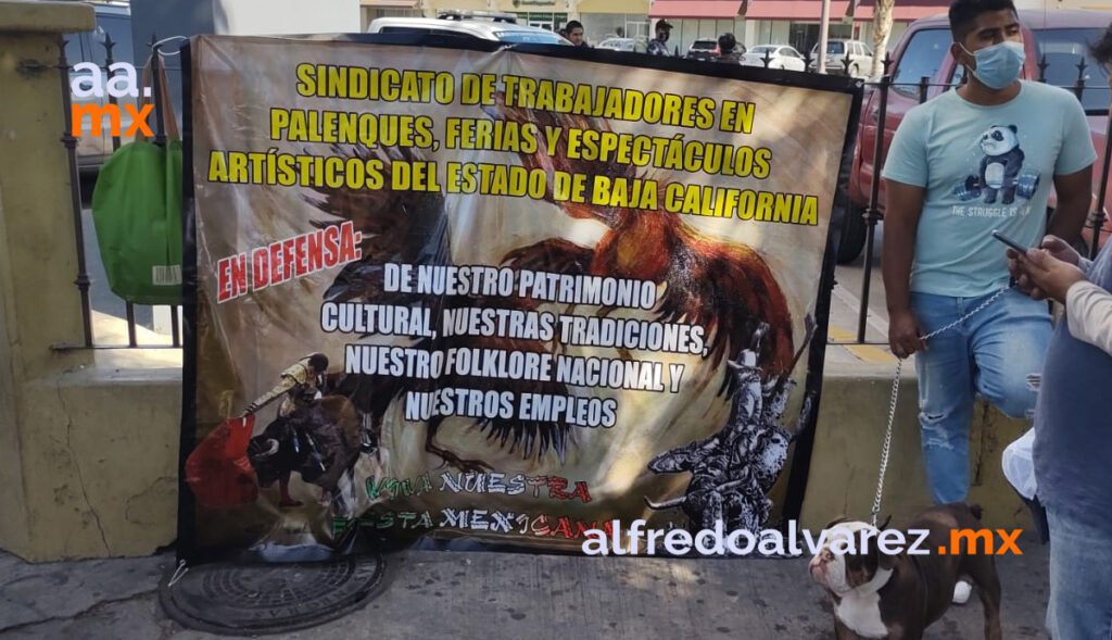 CAZADORES DE ANIMALES PROTESTAN POR LEY QUE IMPEDIRá MATAR POR DIVERSIóN