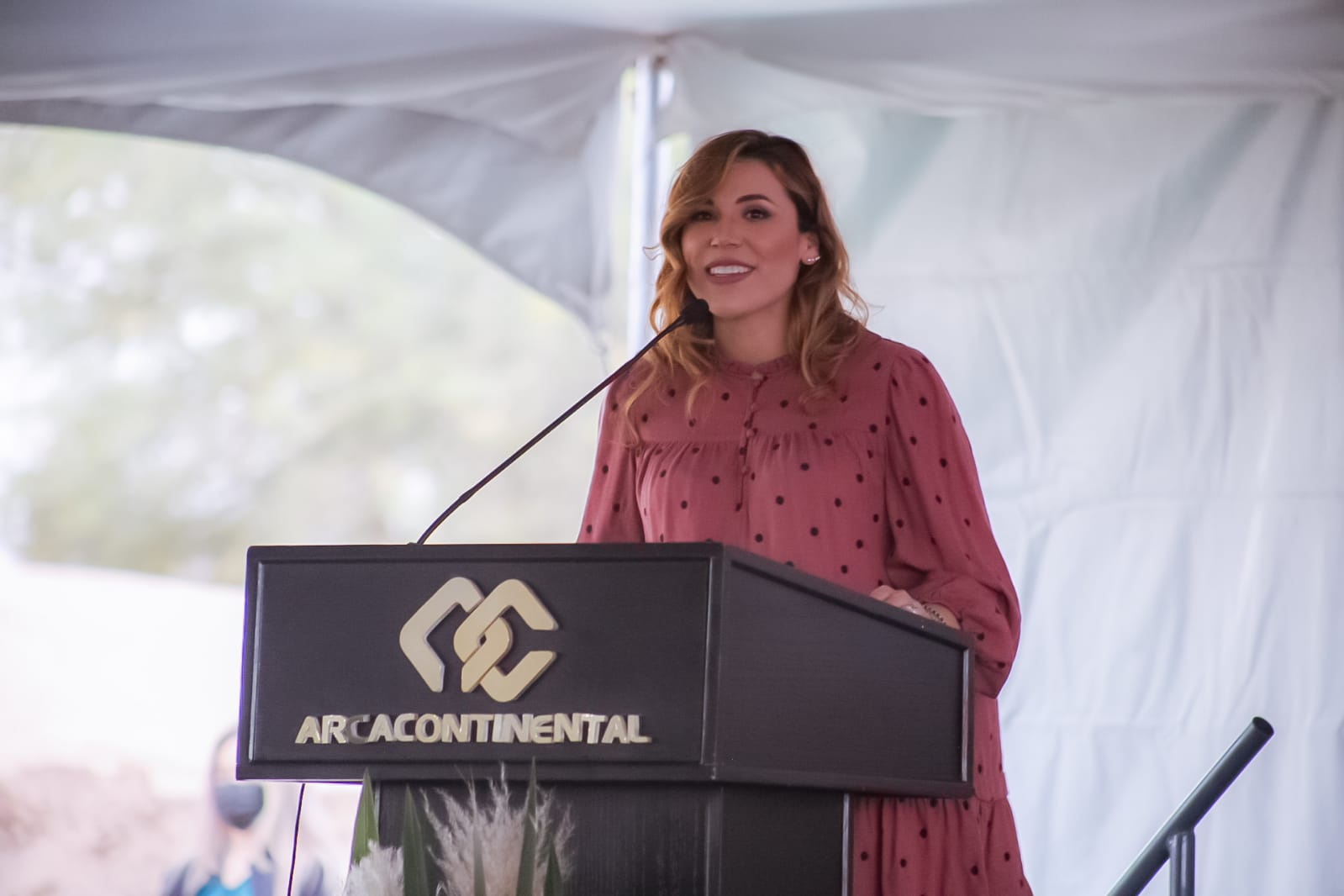 ARRANCA MARINA DEL PILAR CONSTRUCCIóN DE HUMEDAL EN VALLE DE MEXICALI ARRANCA MARINA DEL PILAR CONSTRUCCIóN DE HUMEDAL EN VALLE DE MEXICALI