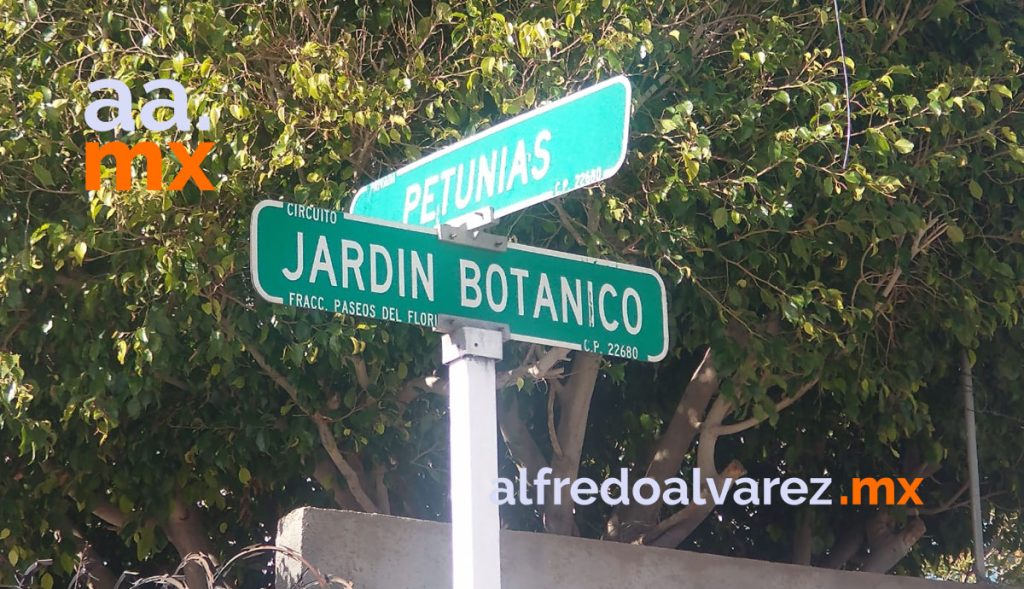RIñA ENTRE PAREJA DEJA UN MUERTO EN VIVIENDA