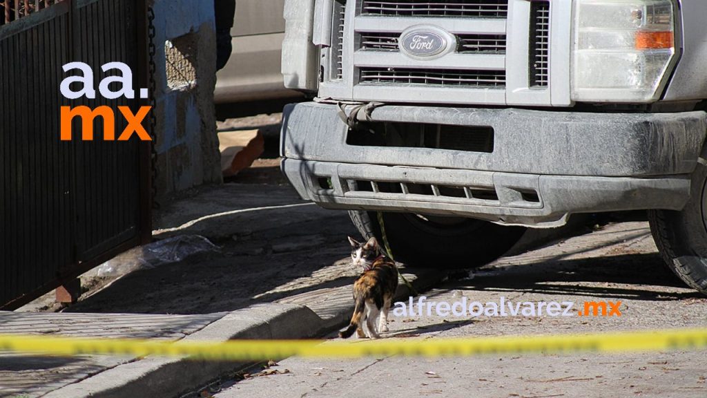 MUJER FUE ASESINADA A BALAZOS