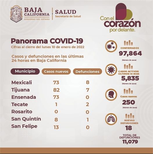 BC REGISTRA LIGERO DESCENSO DE CASOS ACTIVOS POR COVID-19 