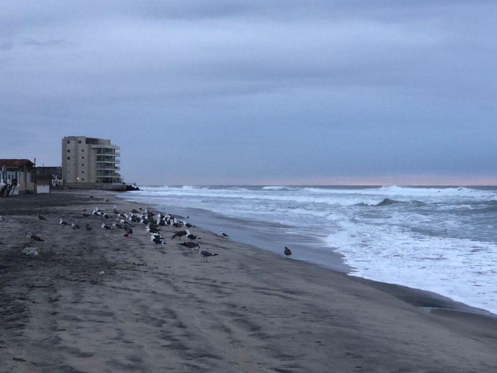 SIN RIESGO EN COSTA MEXICANA POR TSUNAMI EN OCéANO PACíFICO