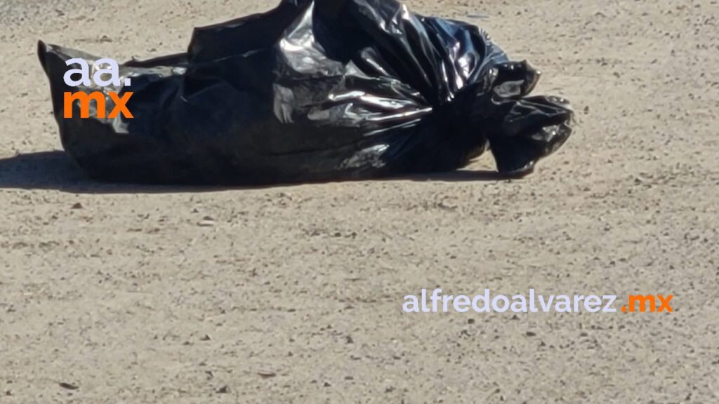DEJAN DOS MANOS HUMANAS EN BOLSAS DE PLáSTICO