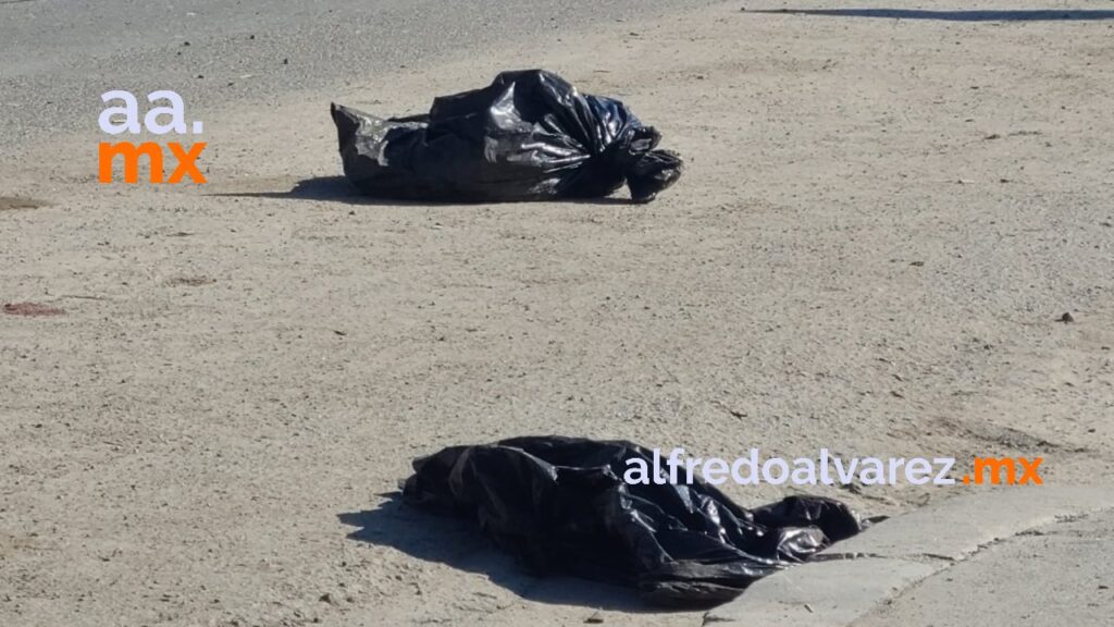DEJAN DOS MANOS HUMANAS EN BOLSAS DE PLáSTICO