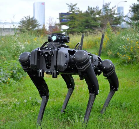 CBP REFORZARá LA VIGILANCIA DE LA FRONTERA CON PERROS ROBOTS CBP REFORZARá LA VIGILANCIA DE LA FRONTERA CON PERROS ROBOTS