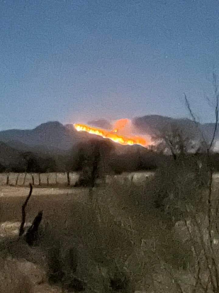 MANDAN MáS PERSONAL AL INCENDIO FORESTAL EN SIERRA DE ACONCHI
