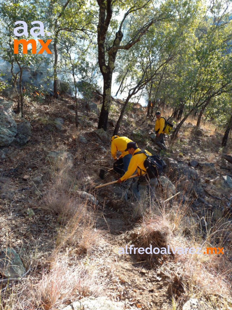 HAY 120 BRIGADISTAS COMBATIENDO INCENDIO FORESTAL EN ACONCHI