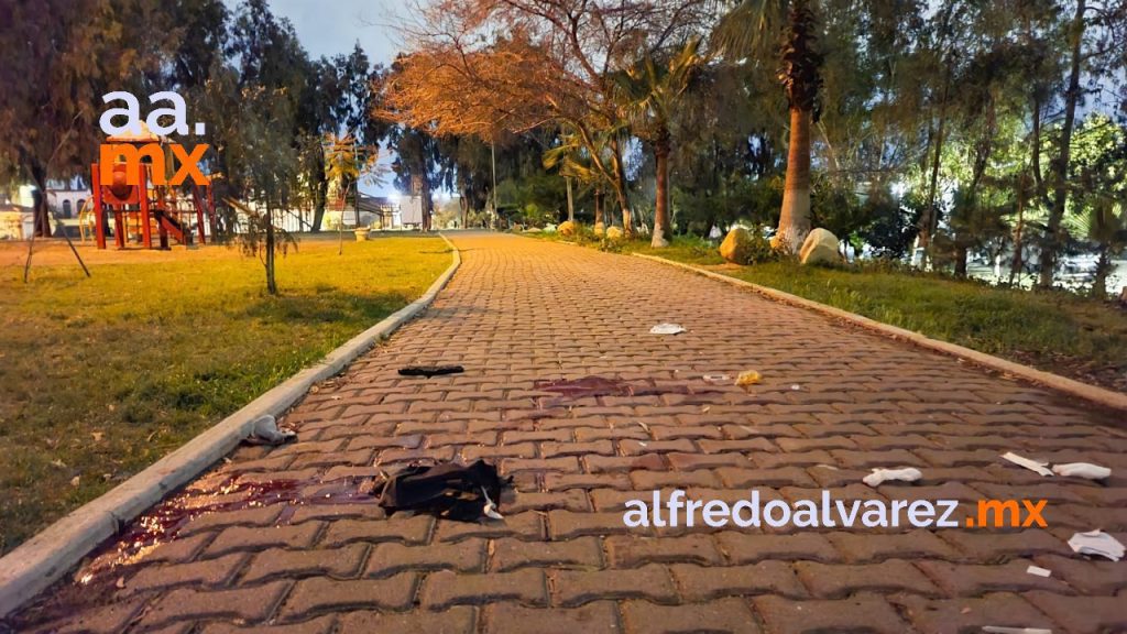 BALEAN A POLICíA COMERCIAL AL INTERIOR DE UN PARQUE