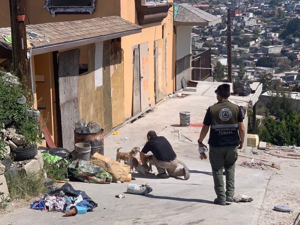 RECORREN CAMINO VERDE PARA CONSTATAR CONDICIóN DE ANIMALES ABANDONADOS