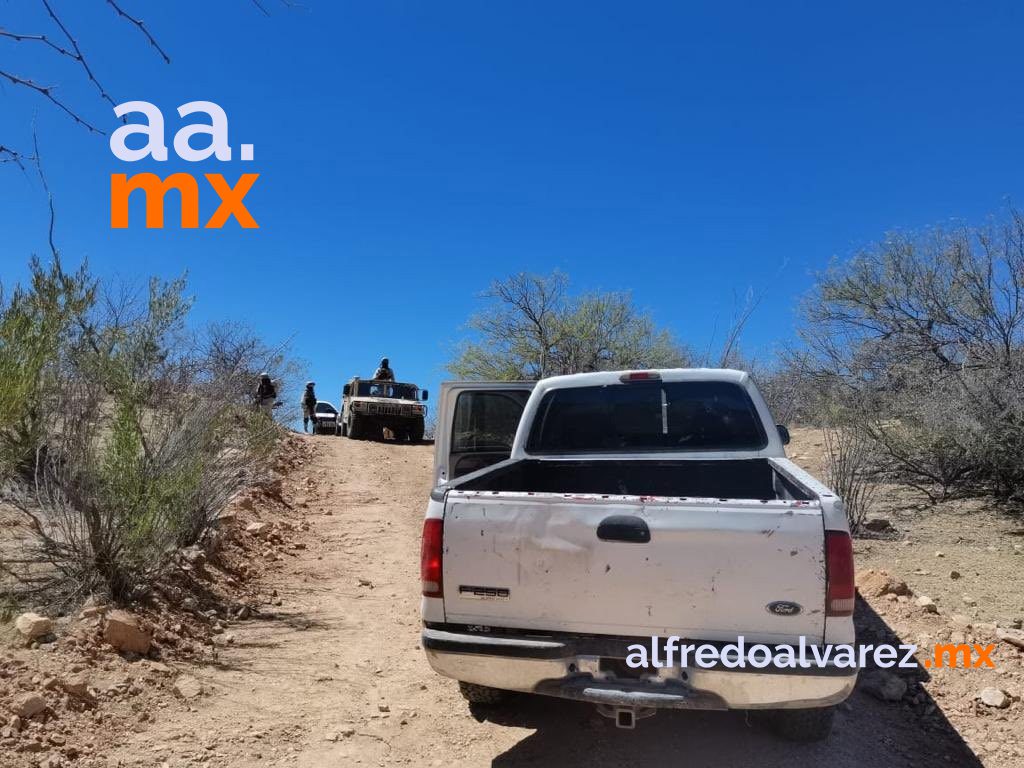 DETIENEN SEDENA Y PESP A GRUPO ARMADO EN SONORA