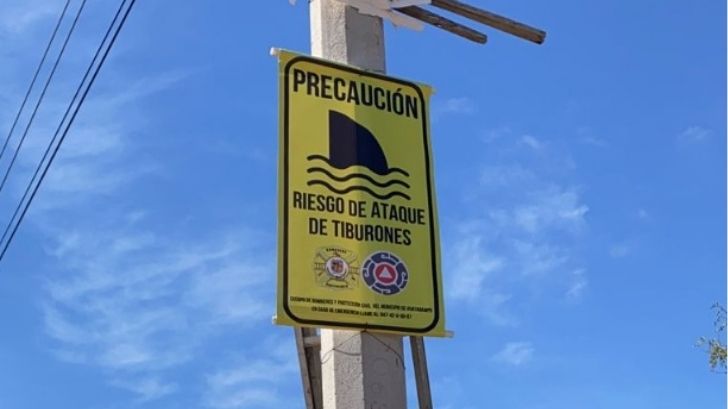 ¡ALERTA! TIBURONES EN PLAYAS DE HUATABAMPO ADVIERTE UMPC
