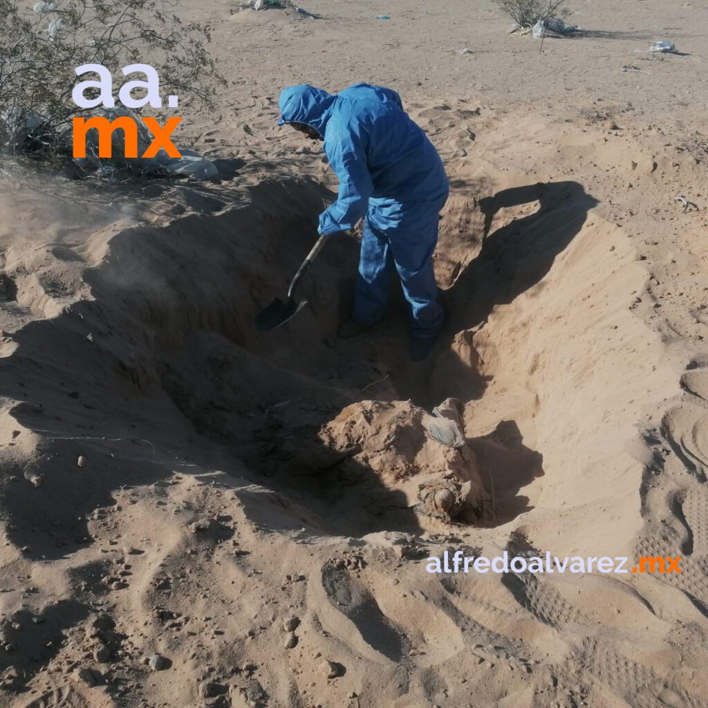 ONCE CUERPOS ENCONTRARON EN FOSAS DE SAN LUIS RíO COLORADO