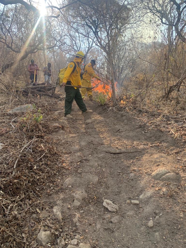 INCENDIO FORESTAL DE ÁLAMOS EL MáS DEVASTADOR EN 20 AñOS