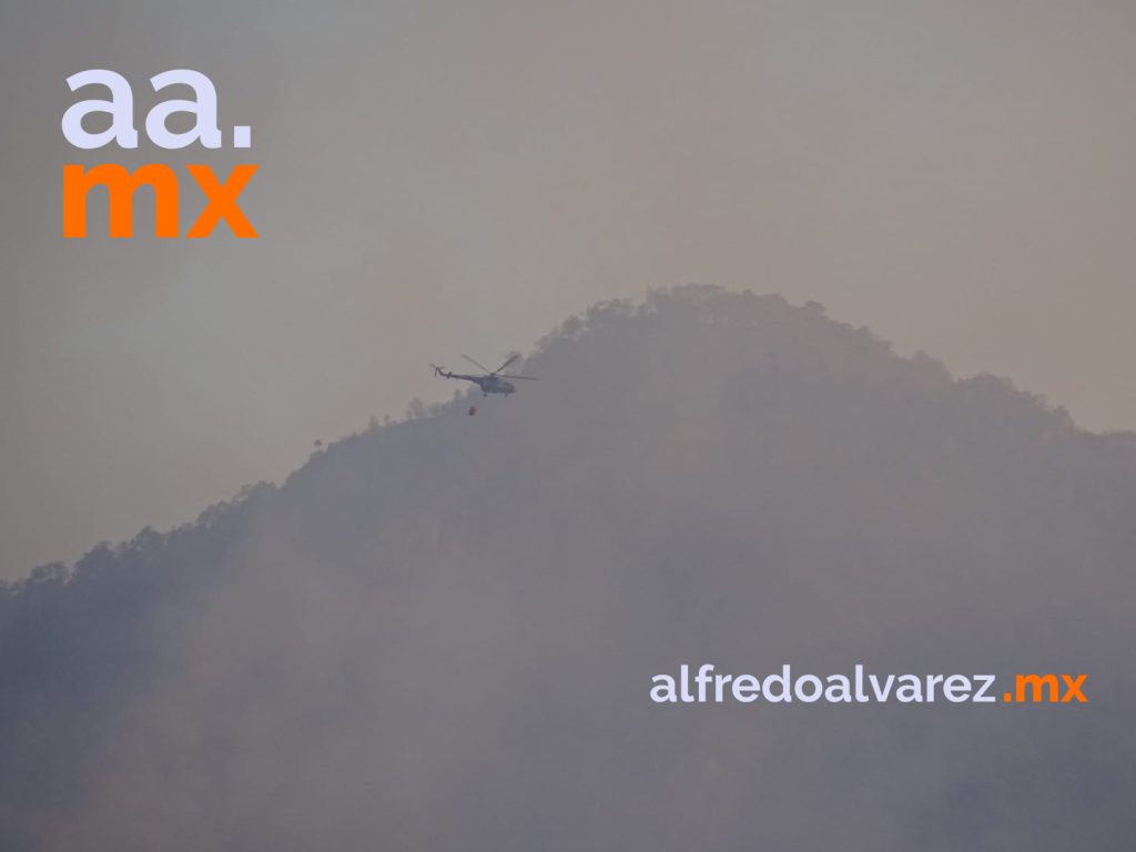 NUEVO INCENDIO EN SIERRA DE ÁLAMOS; SOSPECHAN FUE PROVOCADO