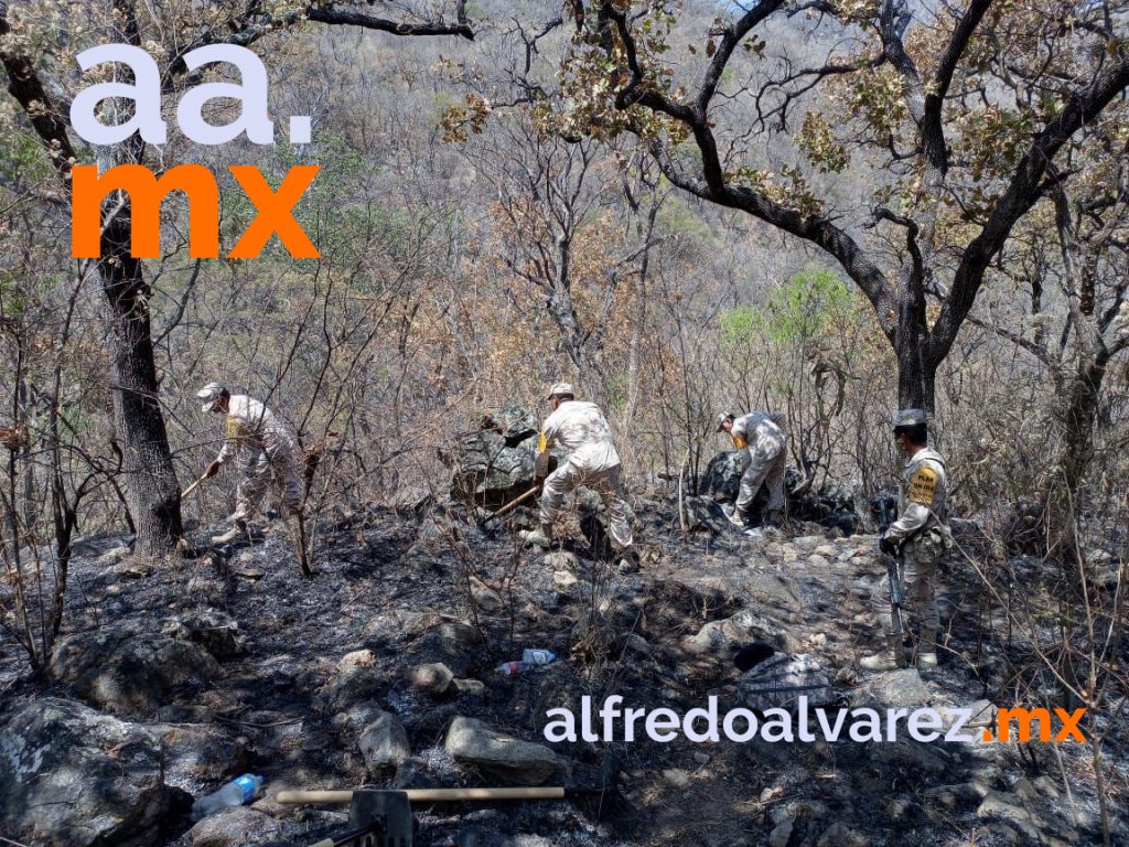 NUEVO INCENDIO EN SIERRA DE ÁLAMOS; SOSPECHAN FUE PROVOCADO