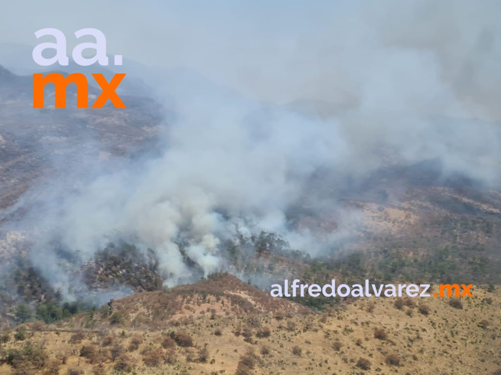 INCENDIO FORESTAL EN SAHUARIPA DEVASTARá MáS QUE EL DE ÁLAMOS