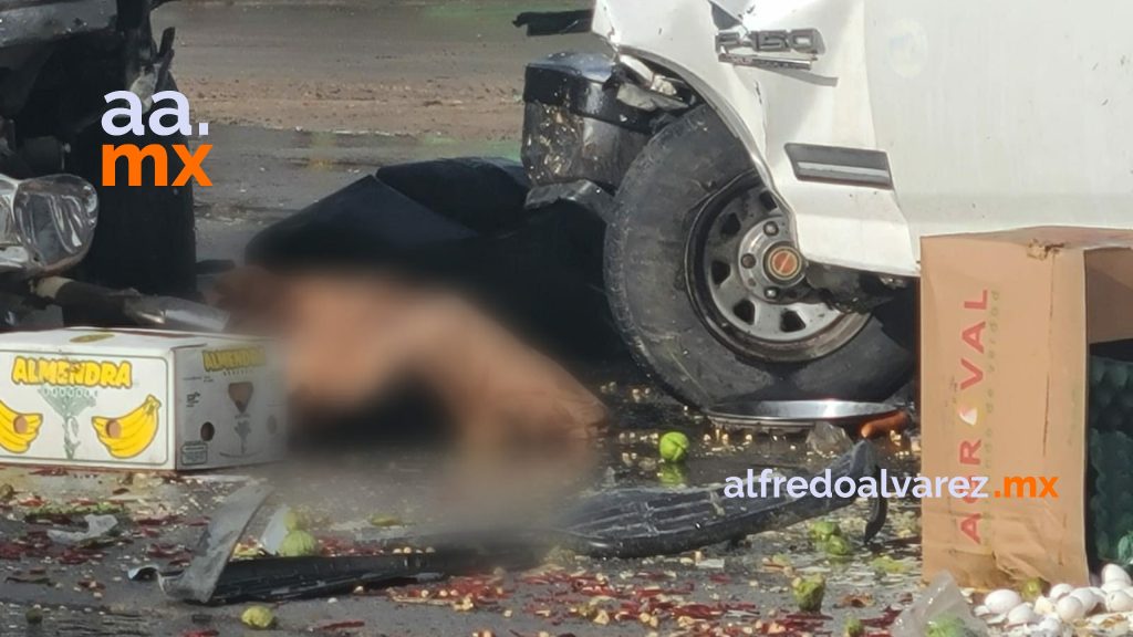 JUAN ROBó UN PICK UP Y AL HUIR PRENSó Y MATó A UNA MUJER &NBSP;