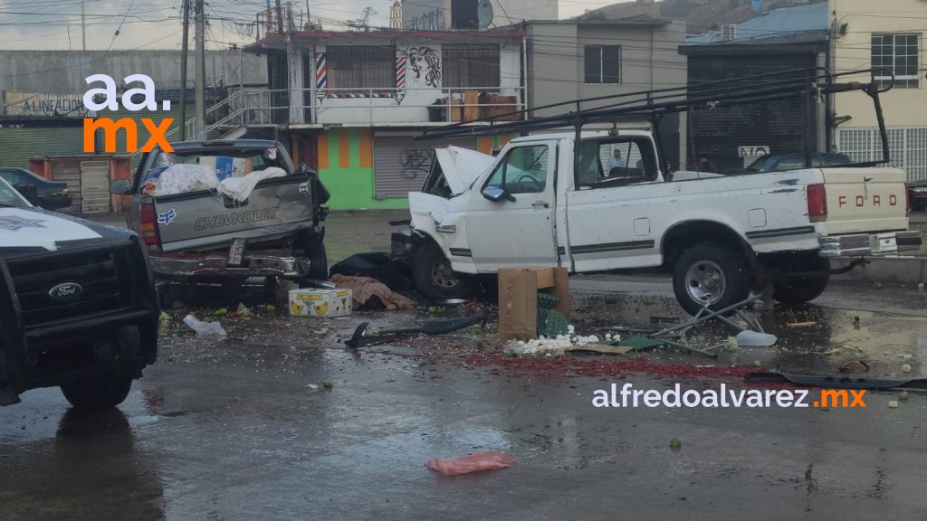 JUAN ROBó UN PICK UP Y AL HUIR PRENSó Y MATó A UNA MUJER &NBSP;