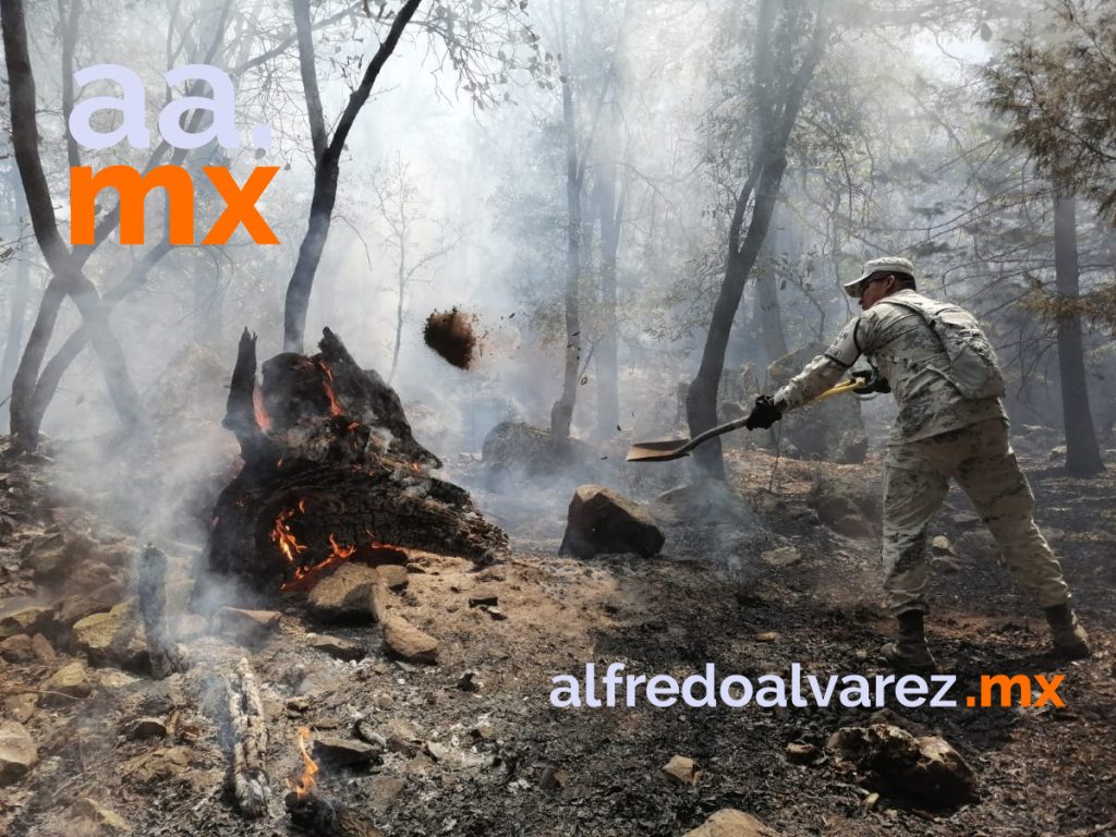 GANAN TERRENO BRIGADISTAS A INCENDIO FORESTAL DE SAHUARIPA