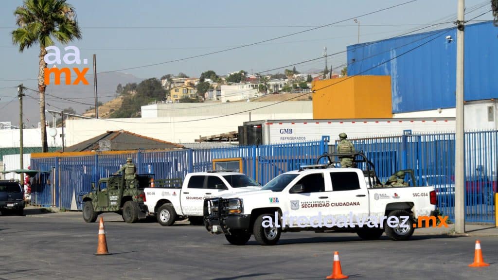 DECOMISAN MáS DE 800 MIL DOSIS DE DROGA Y CUSTODIAN BODEGA