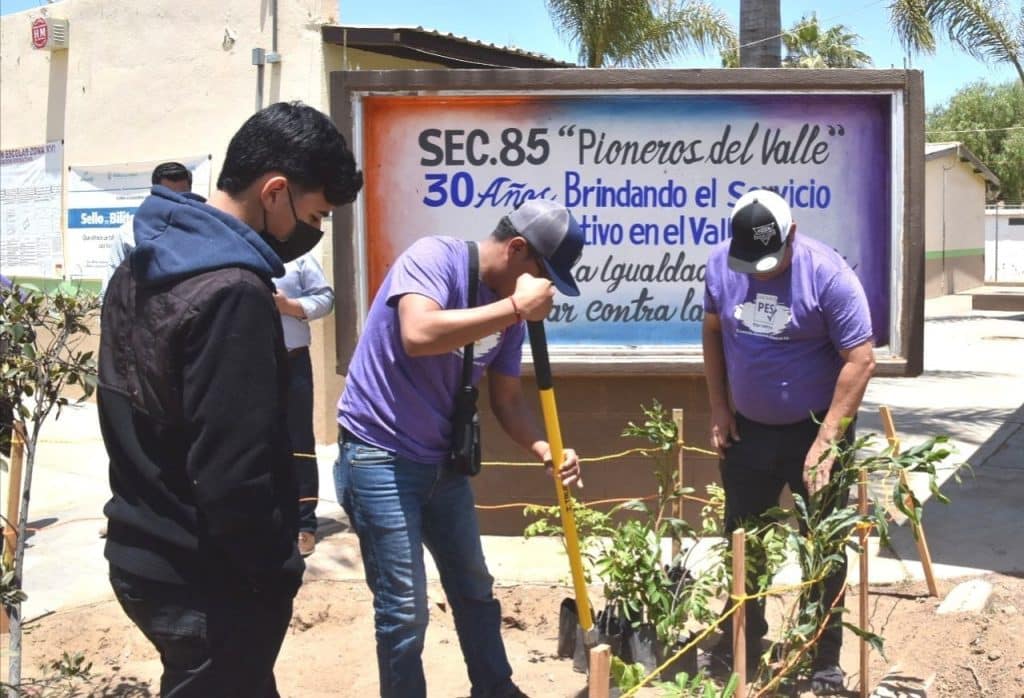 DIRIGENTE ESTATAL DEL PES BC RECORRE SAN QUINTíN PARA ATENDER A LOS CIUDADANOS DIRIGENTE ESTATAL DEL PES BC RECORRE SAN QUINTíN PARA ATENDER A LOS CIUDADANOS