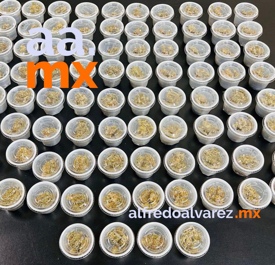 DETIENEN A SUJETOS Y ASEGURAN DROGA EN PITIQUITO Y ALTAR