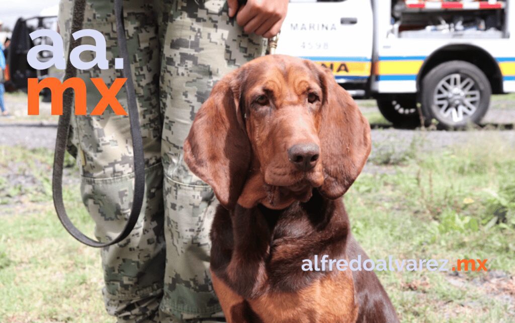 TRAS CAPTURA DE CARO QUINTERO ESTOS SON LOS MáS BUSCADO POR LA DEA