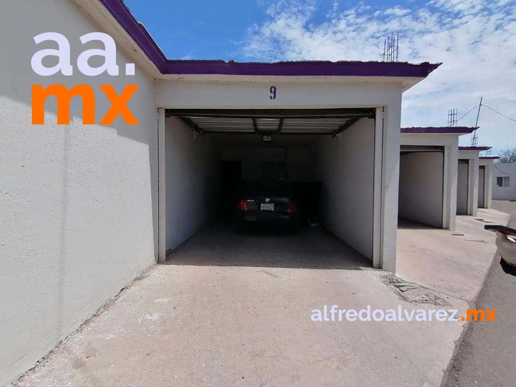 MUEREN CUATRO JóVENES INTOXICADOS EN EMPALME MUEREN CUATRO JóVENES INTOXICADOS EN EMPALME