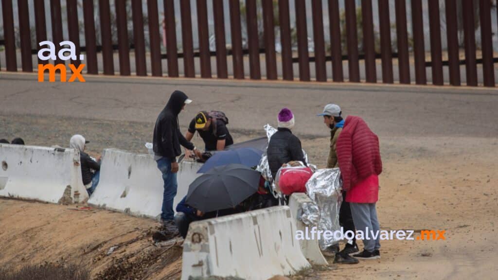 Decenas de migrantes cruzaron a EU y se entregaron a las autoridades