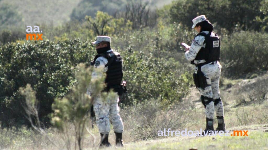 Localizan al menos 11 cadáveres en límites de Tijuana y Rosarito