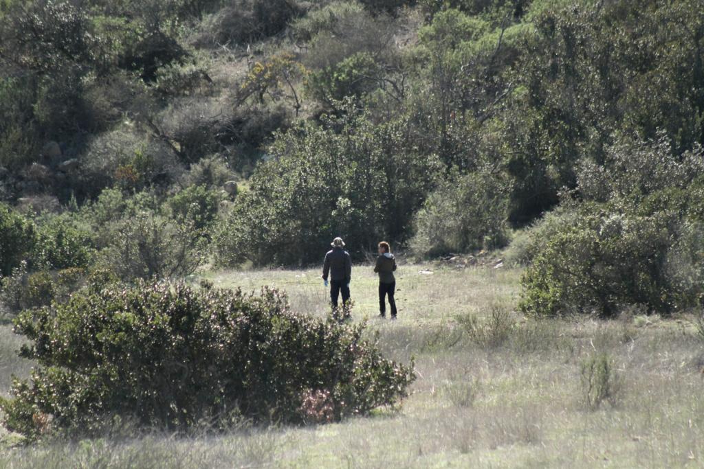 Localizan al menos 11 cadáveres en límites de Tijuana y Rosarito